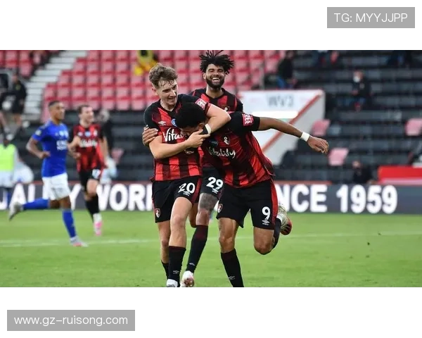 聚焦伯恩茅斯俱乐部崛起之路与未来多维度发展全景解析趋势洞察篇